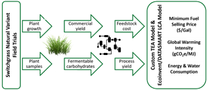 Field Trials