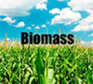 Development and Implementation of Integrated Biomass Supply Analysis and Logistics Model (IBSAL)