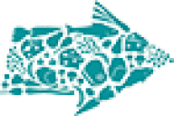 Resource Optimization by Simulation Technique in Food Logistics